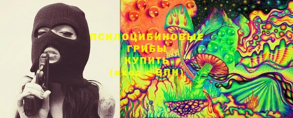 крисы Алексеевка