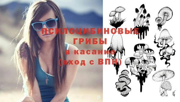 бошки Абдулино